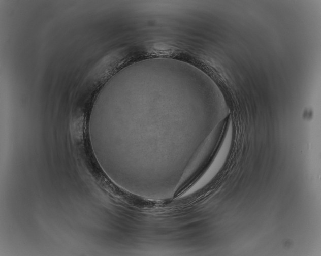 X0000090900647200707301414