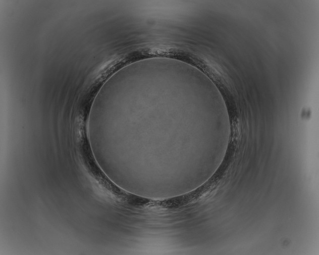 X0000090900648200707301414