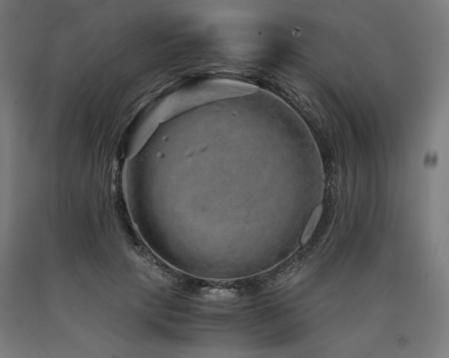 X0000090900649200707301414