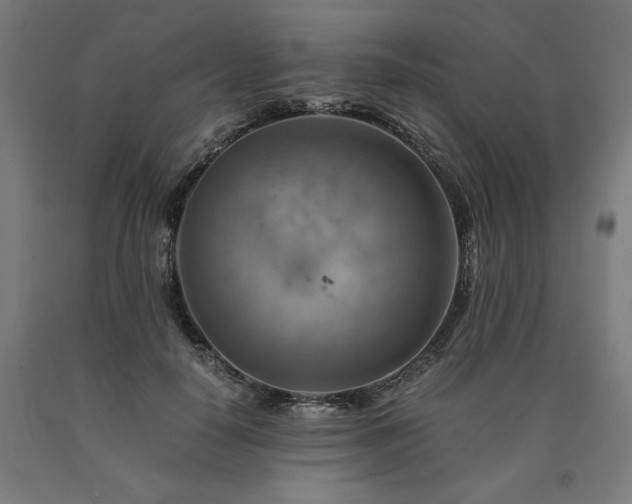 X0000090900650200707301414