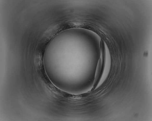X0000090900651200707301414