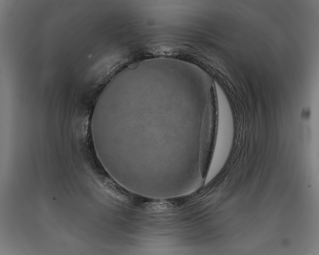 X0000090900652200707301414