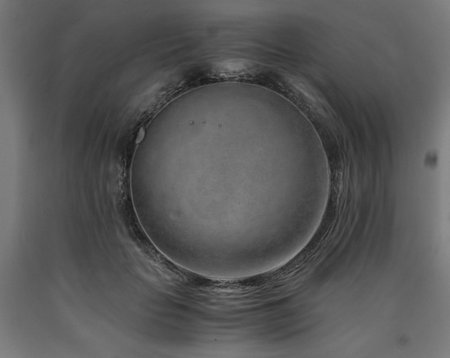 X0000090900653200707301414