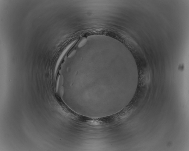 X0000090900654200707301414