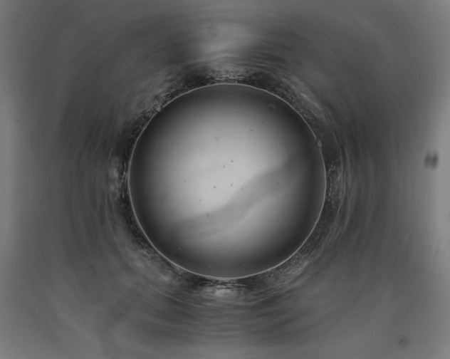 X0000090900655200707301414