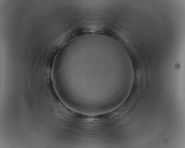 X0000090900657200707301414