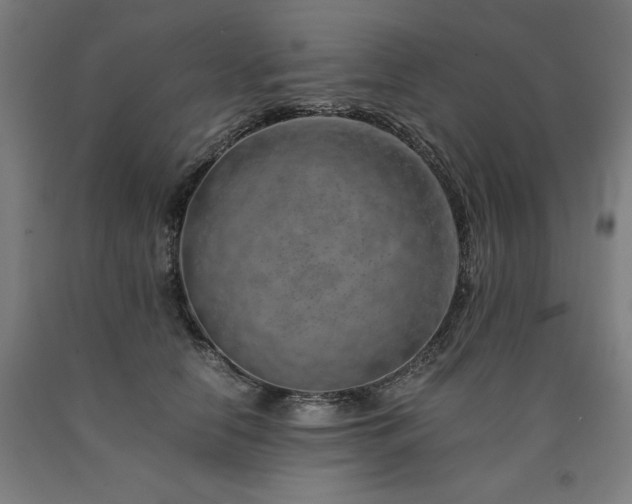 X0000090900658200707301414