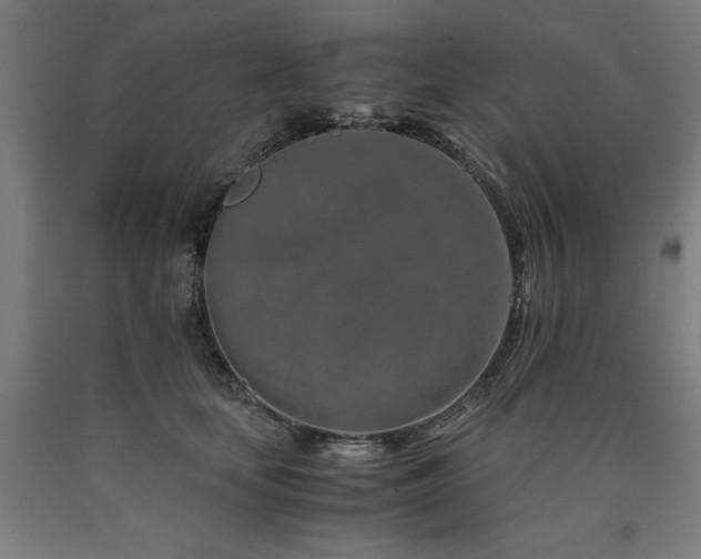 X0000090900659200707301414
