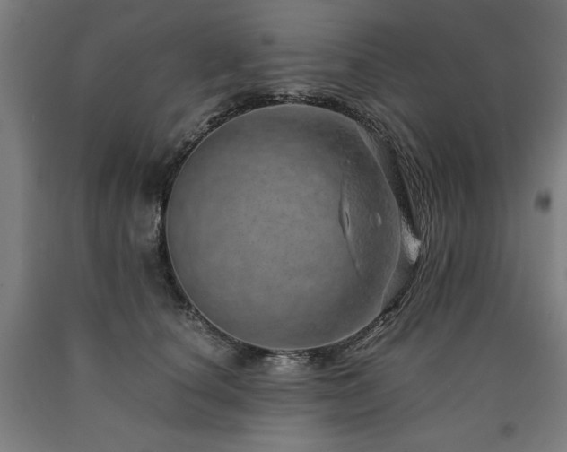 X0000090900660200707301414