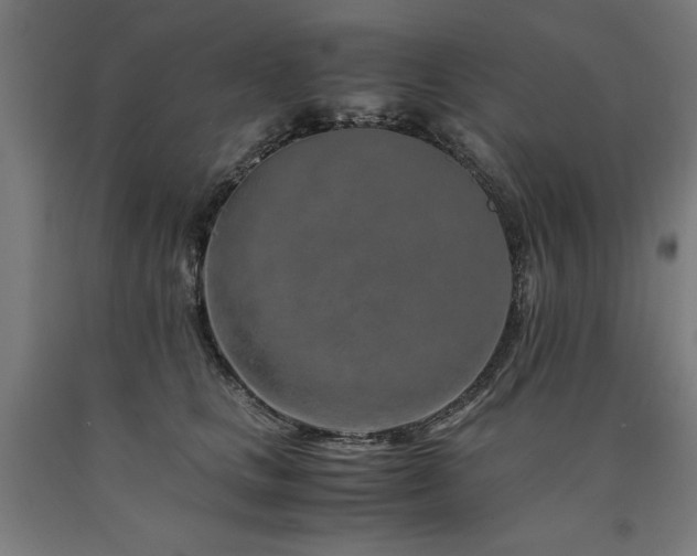 X0000090900661200707301414