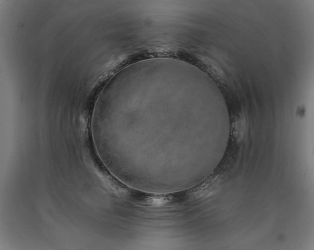 X0000090900662200707301414