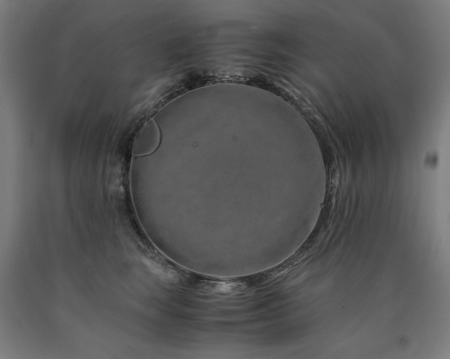 X0000090900663200707301414