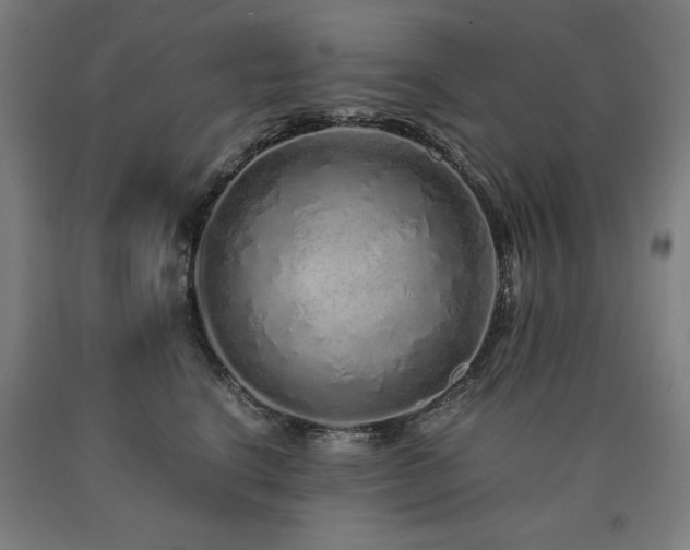 X0000090900664200707301414
