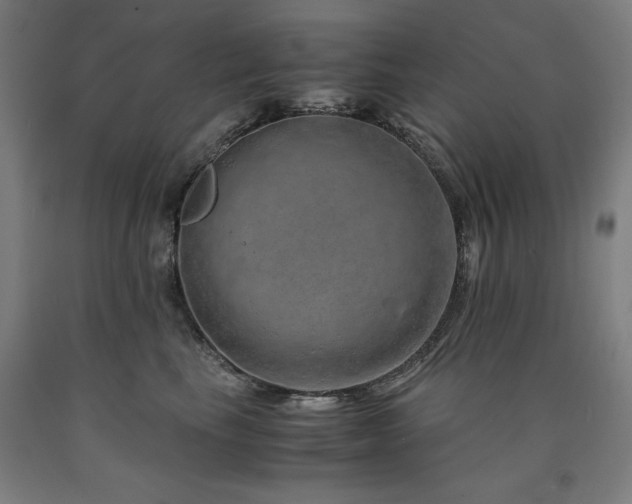 X0000090900665200707301414