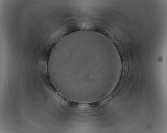 X0000090900666200707301414