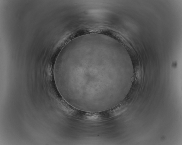 X0000090900667200707301414