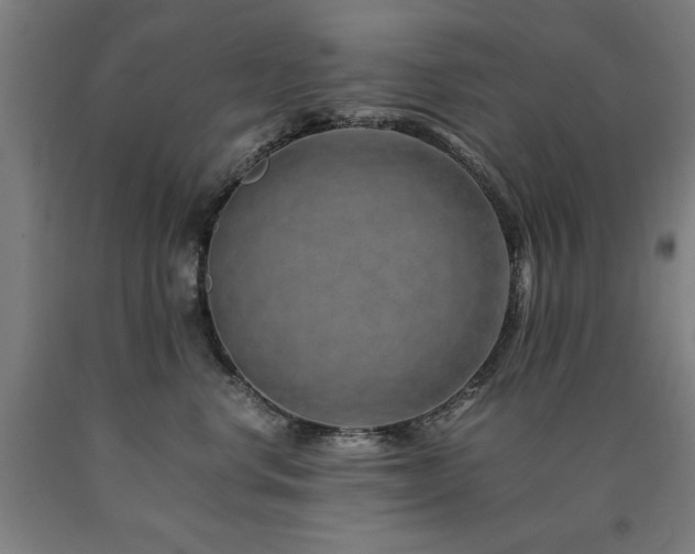 X0000090900668200707301414