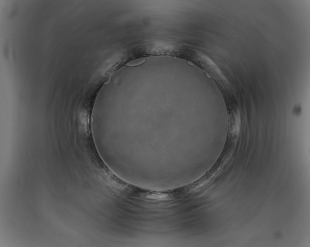 X0000090900669200707301414