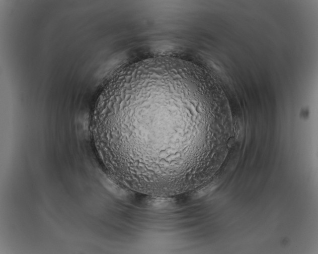 X0000090900670200707301414