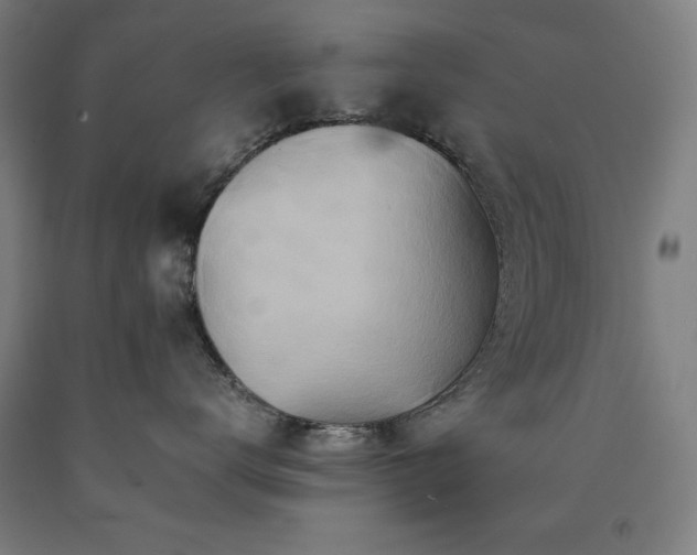 X0000090900672200707301414