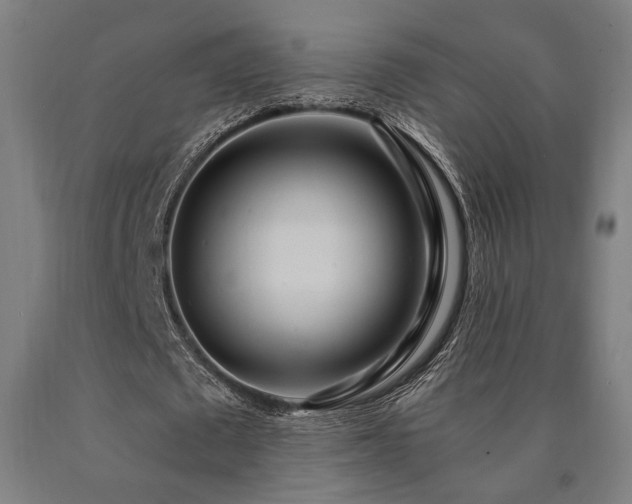 X0000090900673200707301413