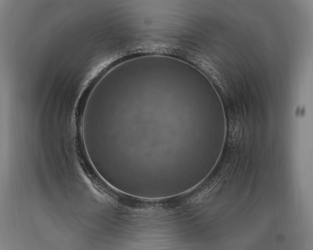 X0000090900674200707301413