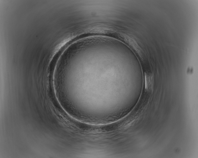 X0000090900675200707301413
