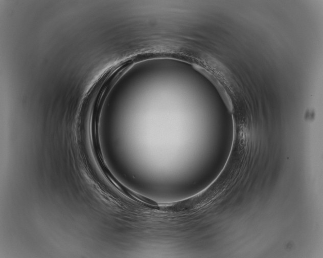 X0000090900676200707301413