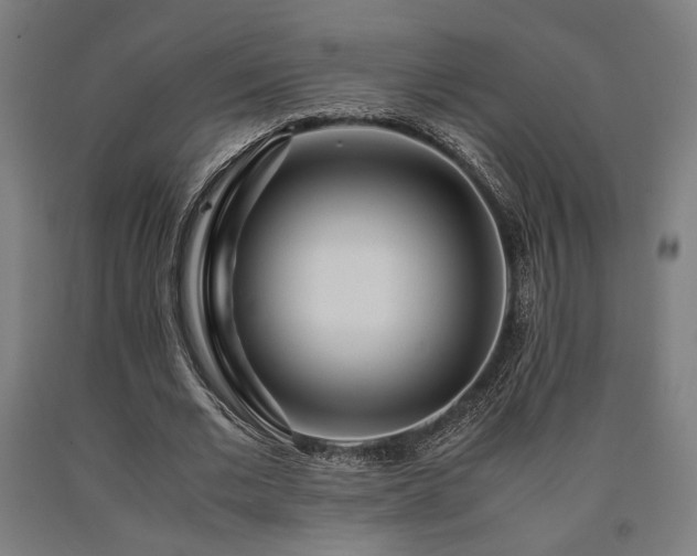 X0000090900677200707301413