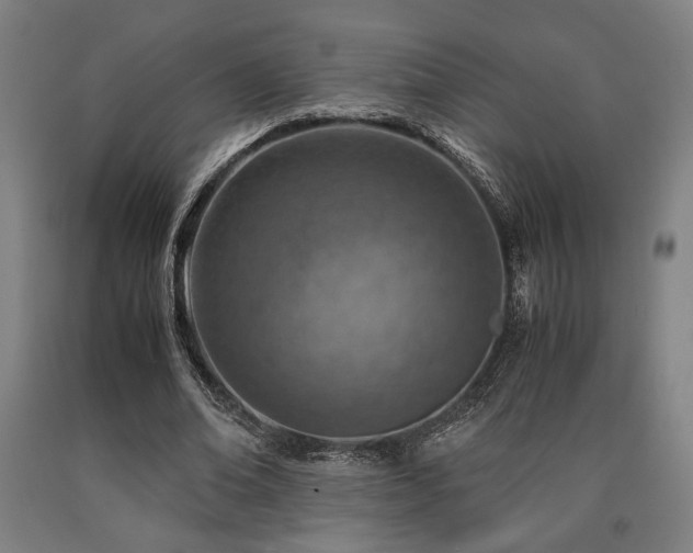 X0000090900678200707301413