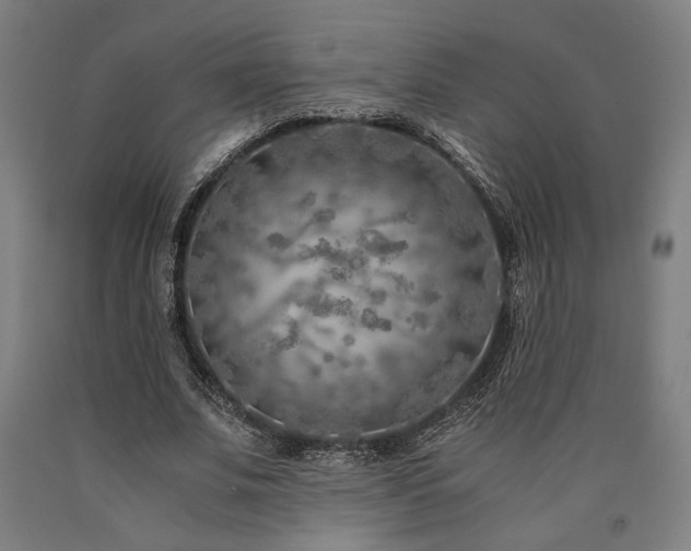 X0000090900679200707301413