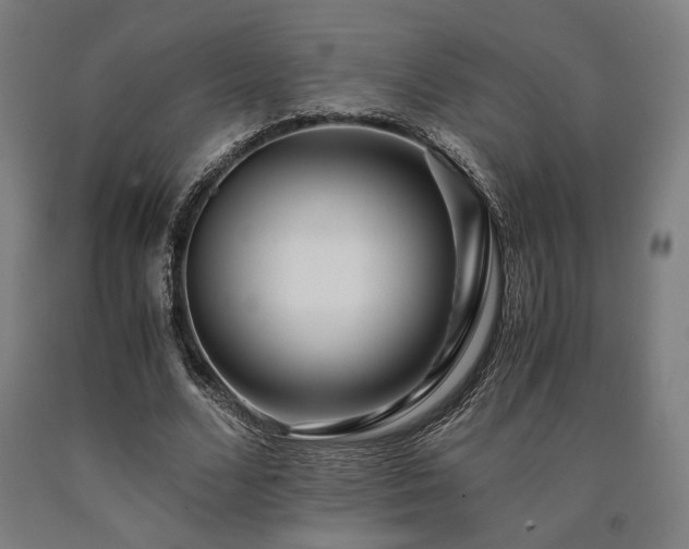 X0000090900680200707301413