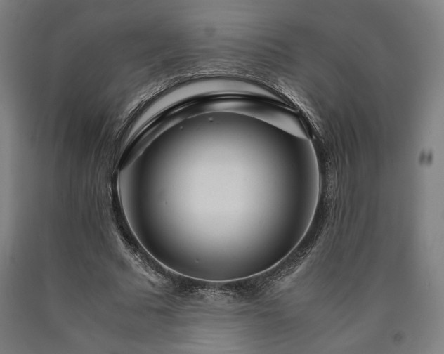 X0000090900681200707301413