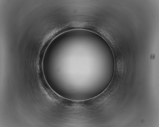 X0000090900682200707301413