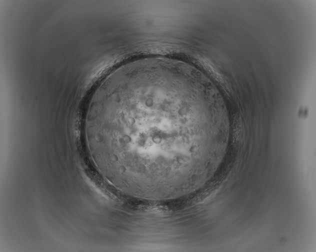 X0000090900683200707301413