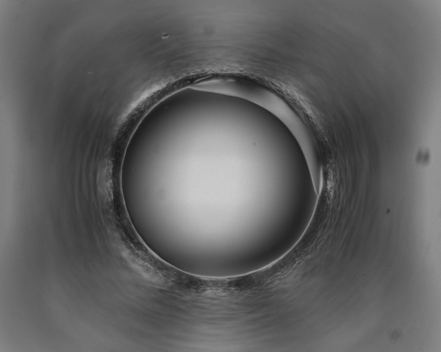 X0000090900684200707301413