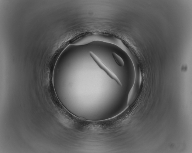 X0000090900685200707301413