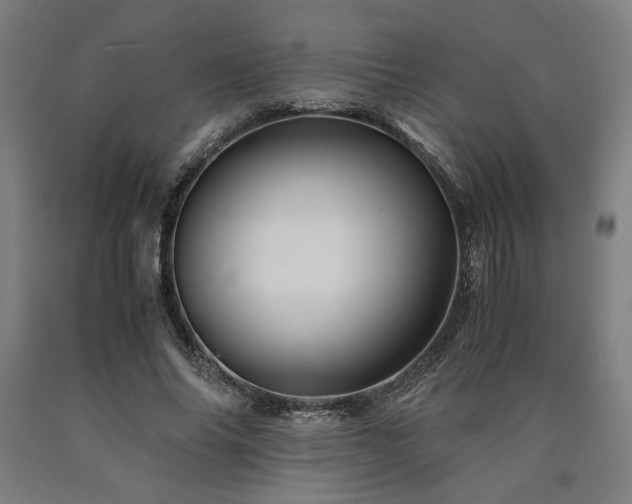 X0000090900686200707301413