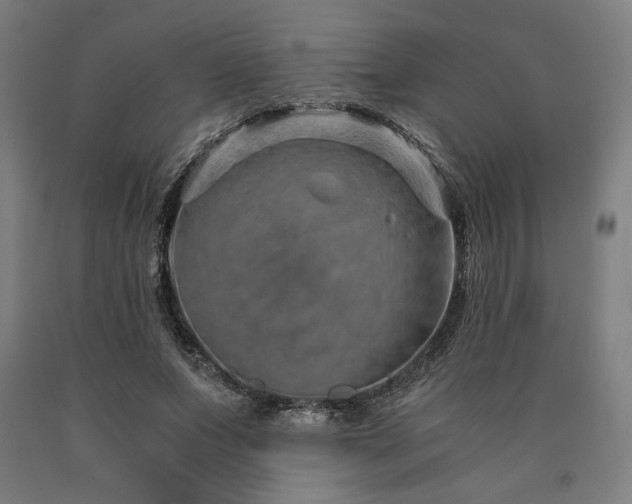X0000090900687200707301413