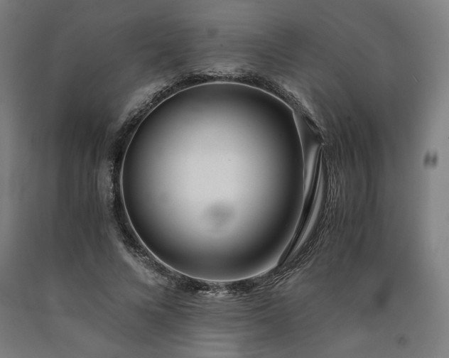 X0000090900688200707301413