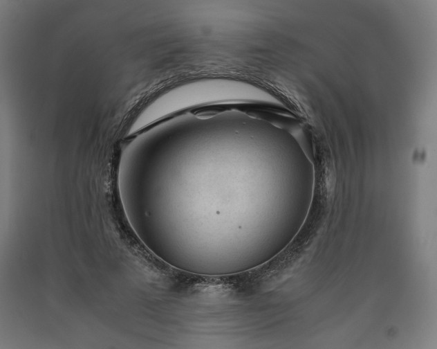 X0000090900689200707301413