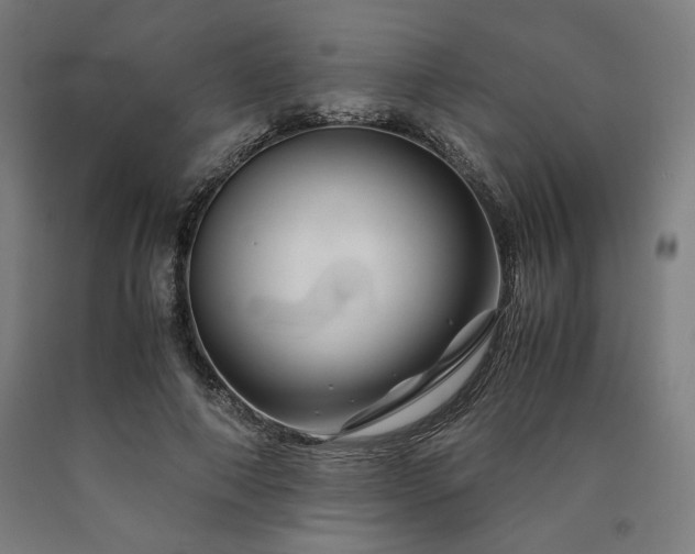 X0000090900690200707301413