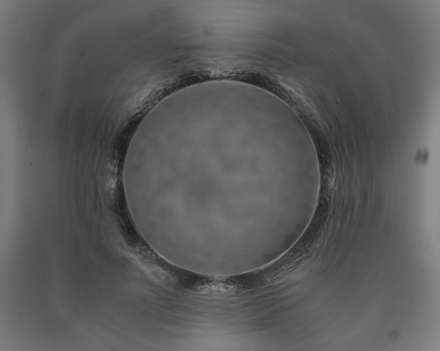 X0000090900691200707301413
