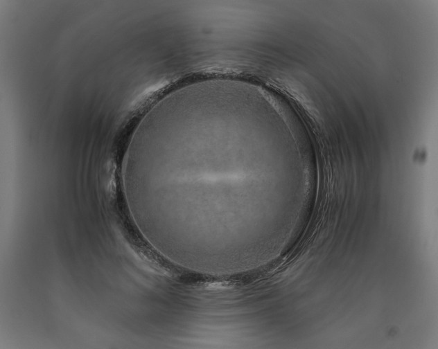 X0000090900692200707301413