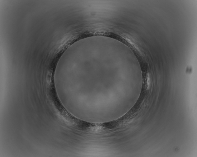 X0000090900695200707301413