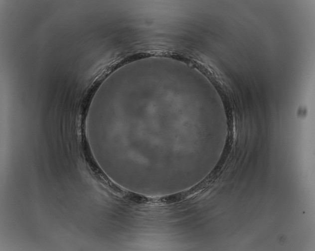 X0000090900696200707301413