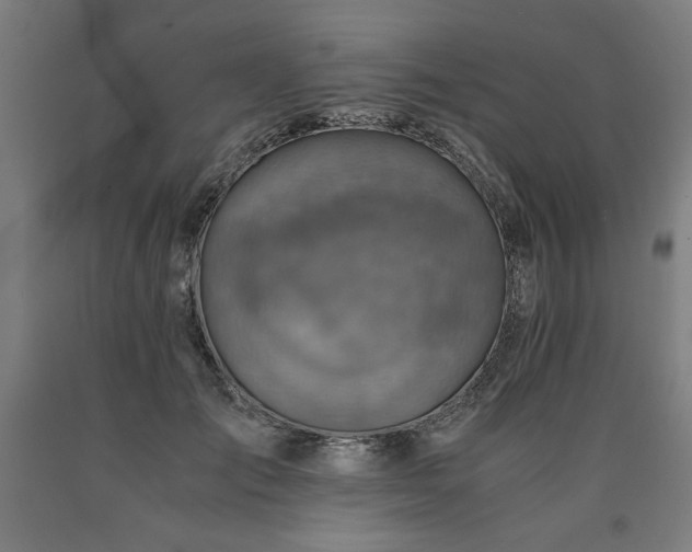 X0000090900701200707301413
