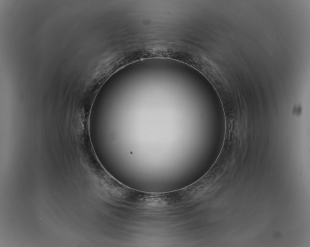 X0000090900702200707301413