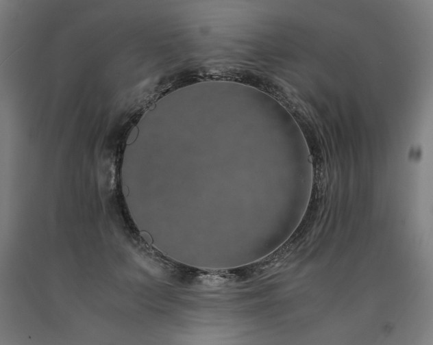 X0000090900703200707301413