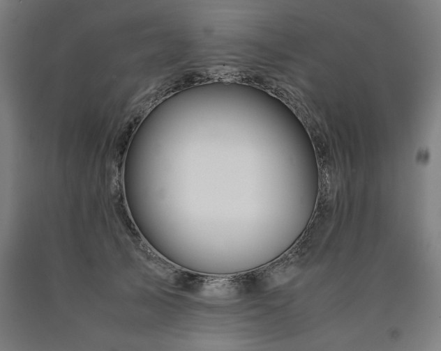 X0000090900705200707301413